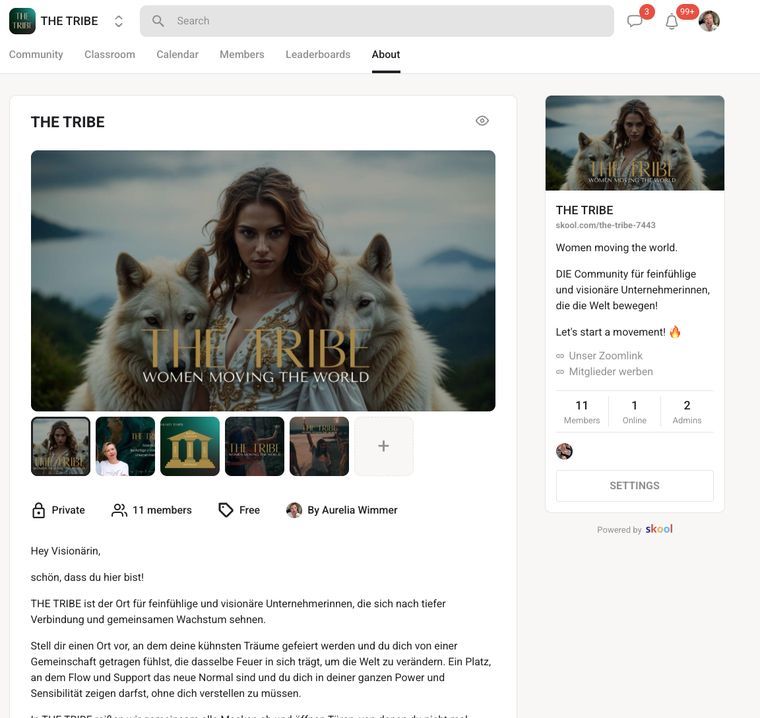 The Tribe – Community-Seite auf Skool